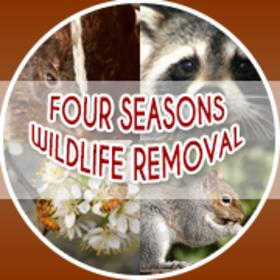 fourseasonswildliferemoval fourseasonswildliferemoval